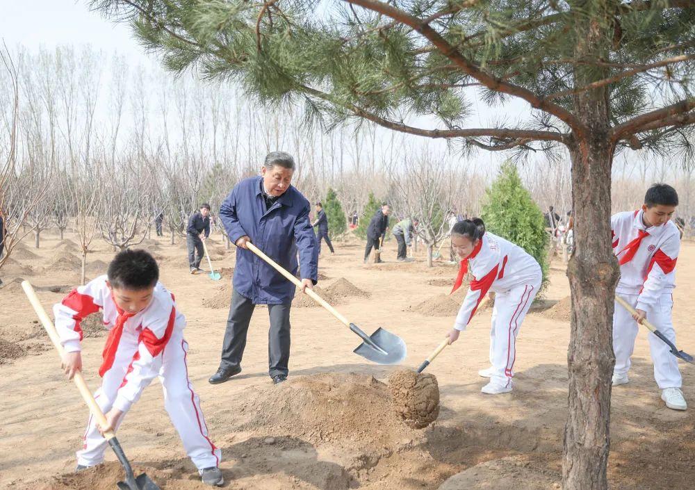 習(xí)近平在參加首都義務(wù)植樹活動時強調(diào)  全民植樹增綠 共建美麗中國